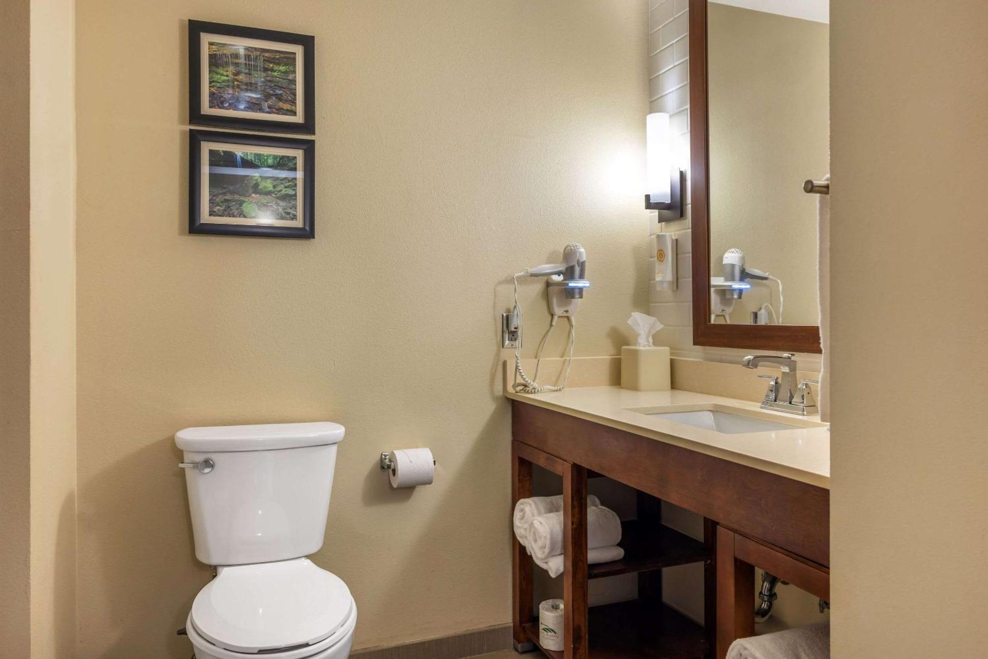 Comfort Inn & Suites At Crossplex Village Birmingham Eksteriør bilde